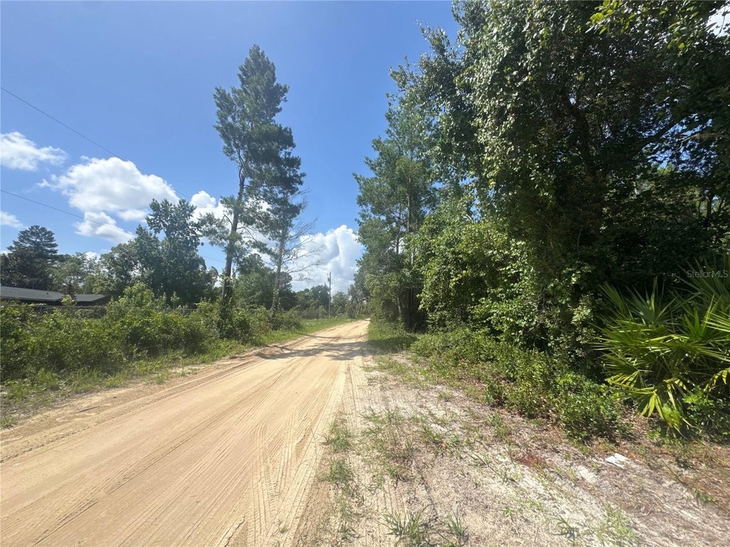 Picture 3