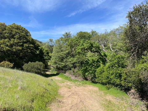 Farmland Parcel with Creek