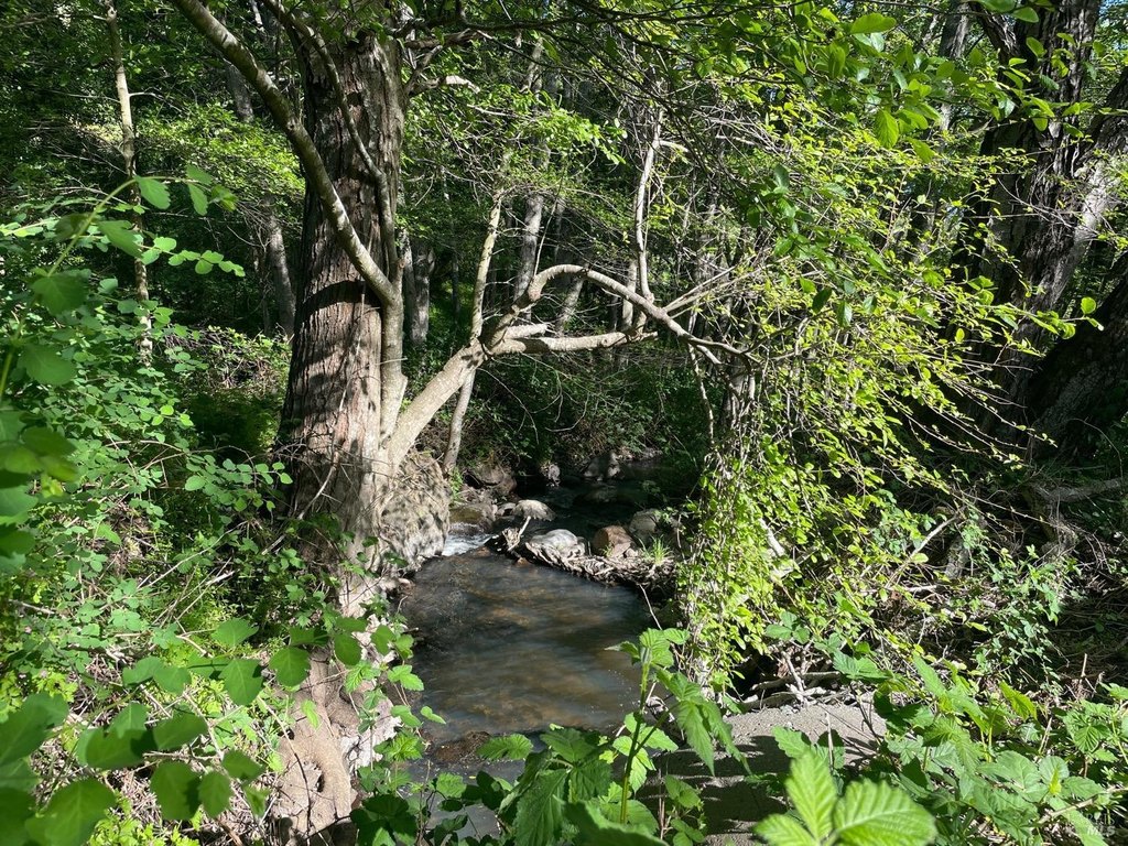 Picture 19