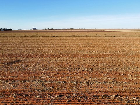 Land, Ropesville, TX