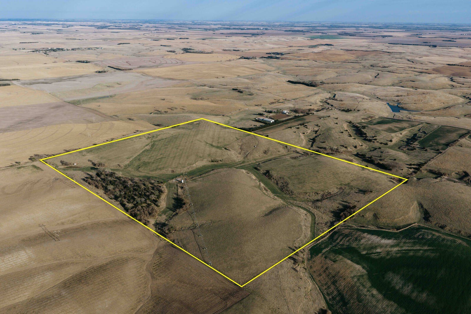 Productive Irrigated Livestock Farm