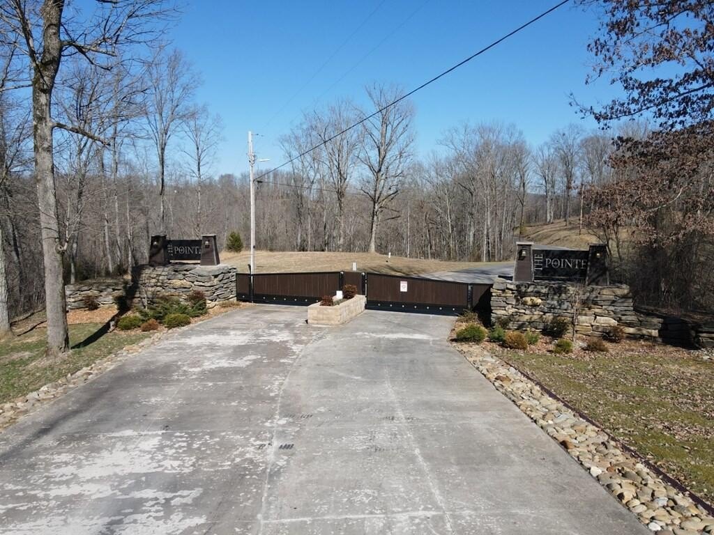 Picture 9