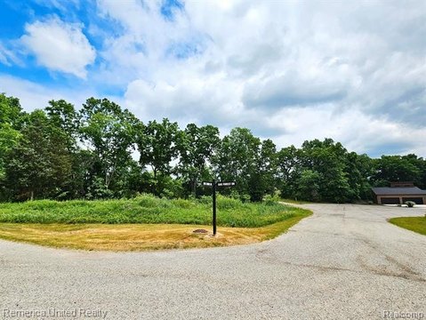 Vacant Land, Green Oak Twp, MI