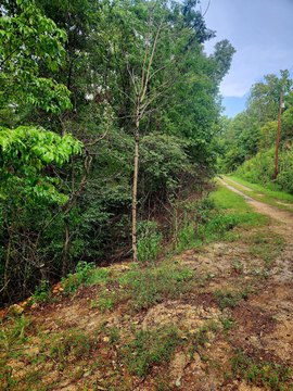 Land, Spring City, TN