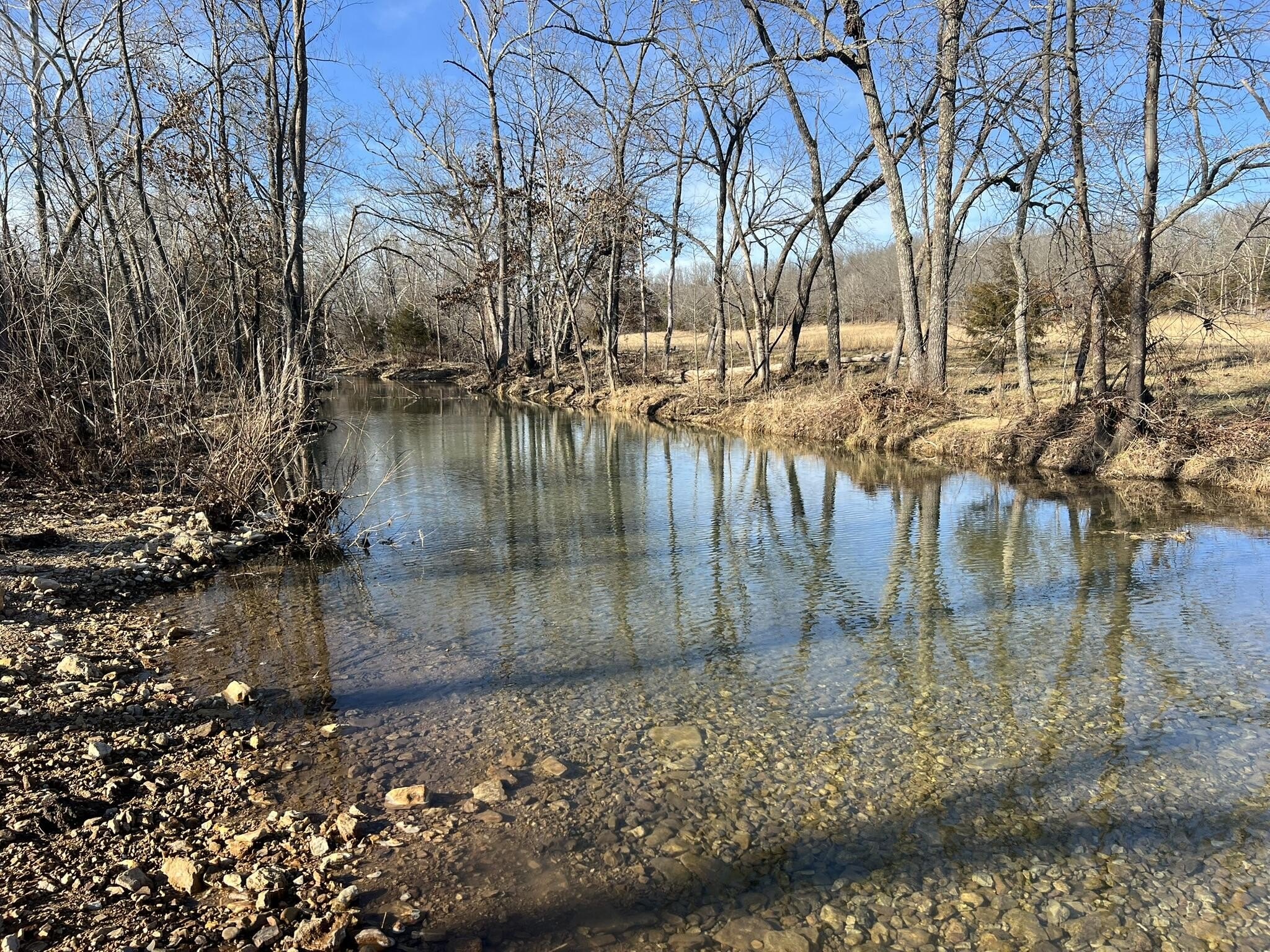 Ozarks Land with Live Water