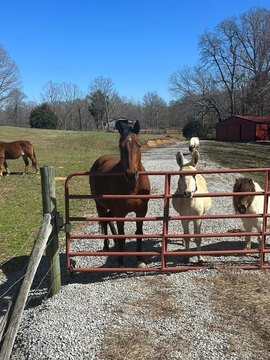 Unrestricted Land with Barn