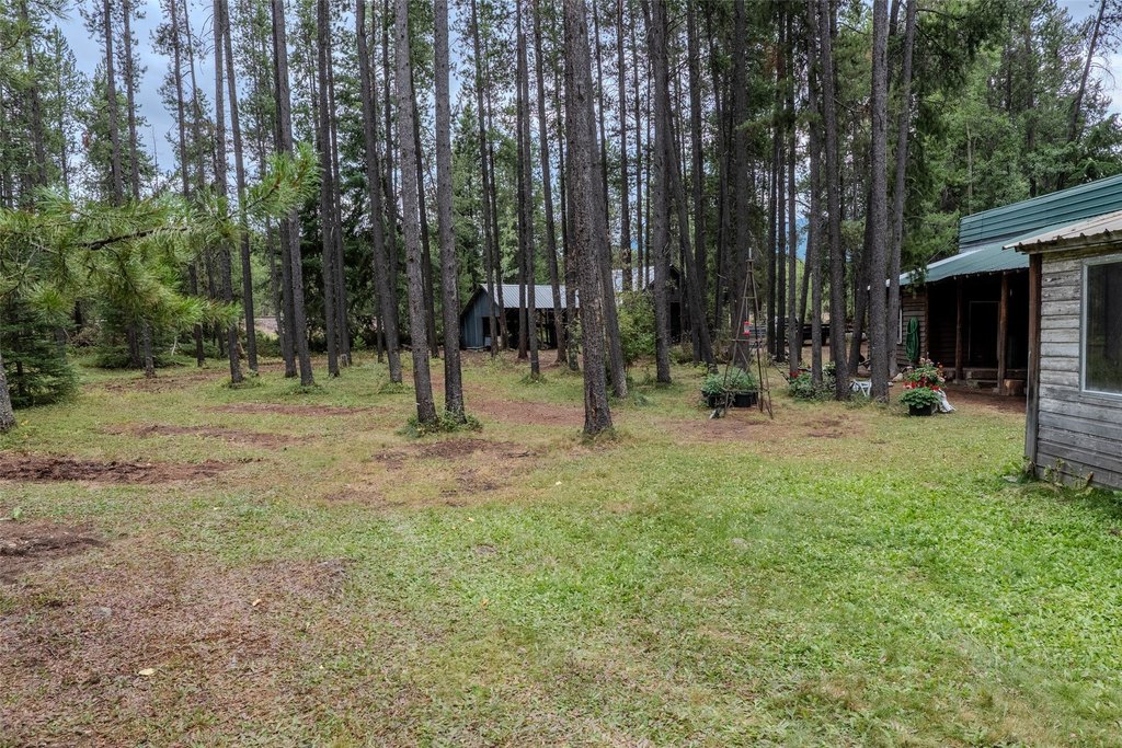 Picture 30