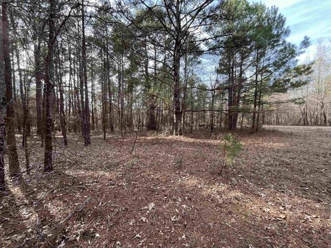 East Texas Acreage Opportunity