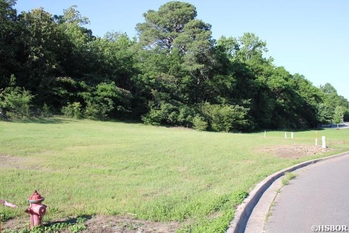 Picture 4