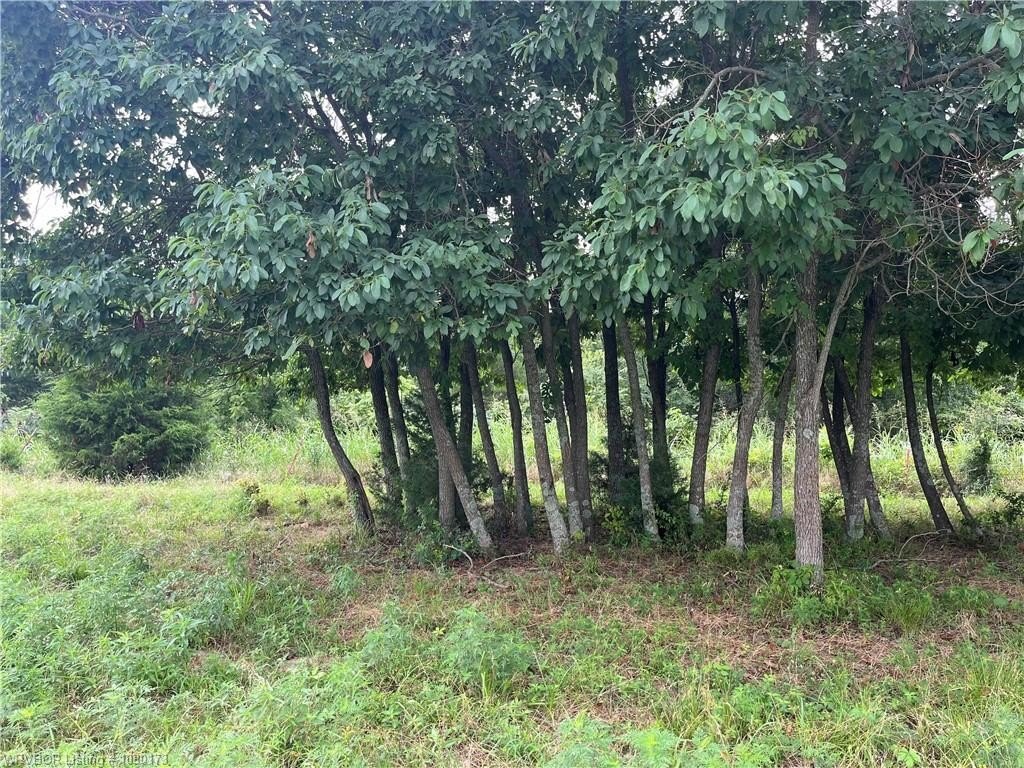 Picture 8