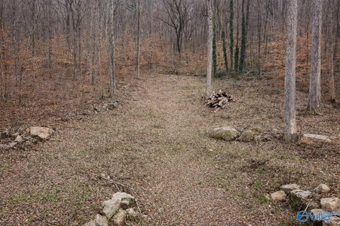 Guntersville Land with Lake Views