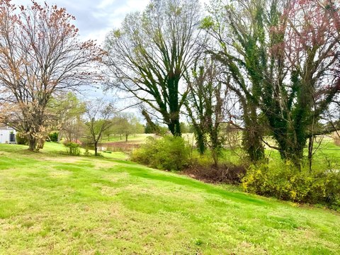 Lakeview Lot in Baneberry, TN