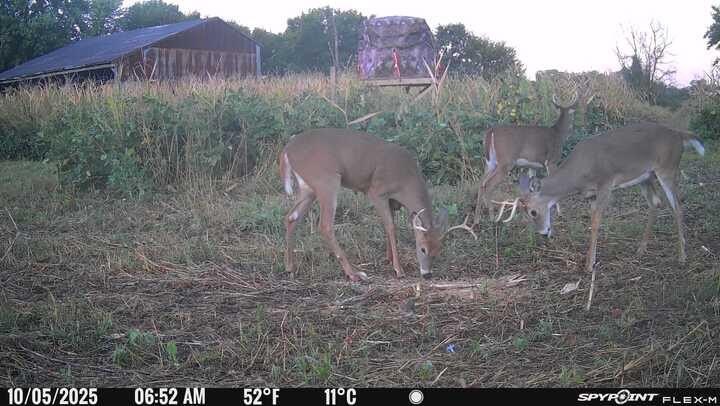Picture 19