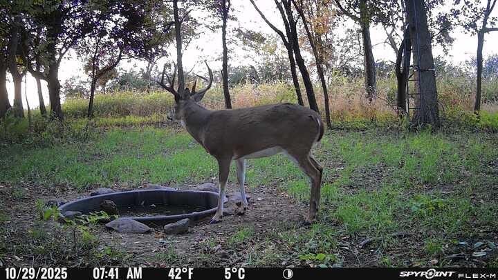 Picture 16