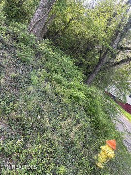 Land in Knoxville, Tennessee