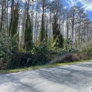 Unimproved Corner Home Lot