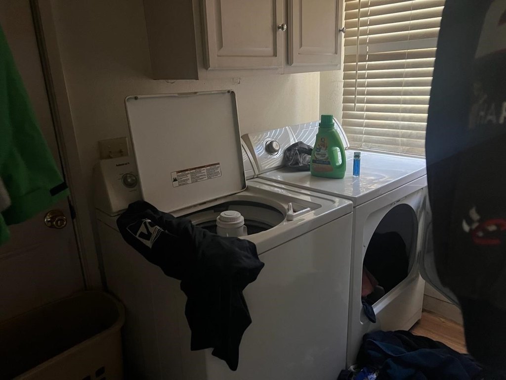 Picture 21