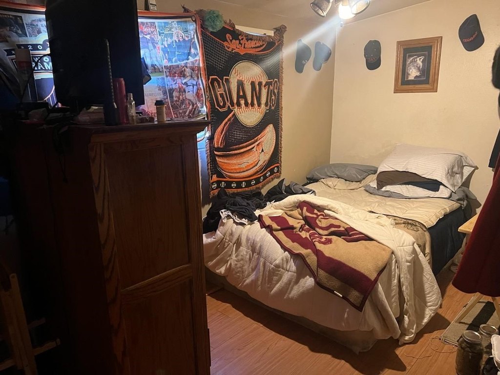 Picture 19