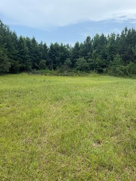Land in Carriere, Mississippi