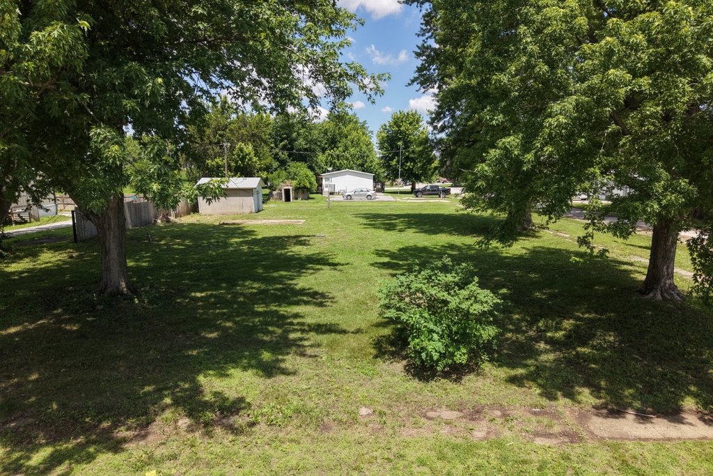 Picture 14