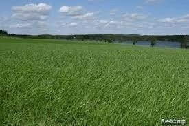 Residential Land in Clyde Township