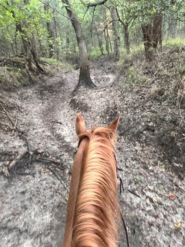 Ranch Land with Wet Weather Creek