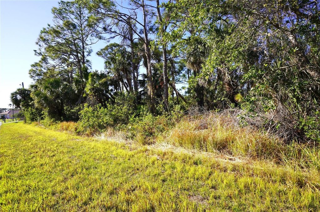 Picture 6