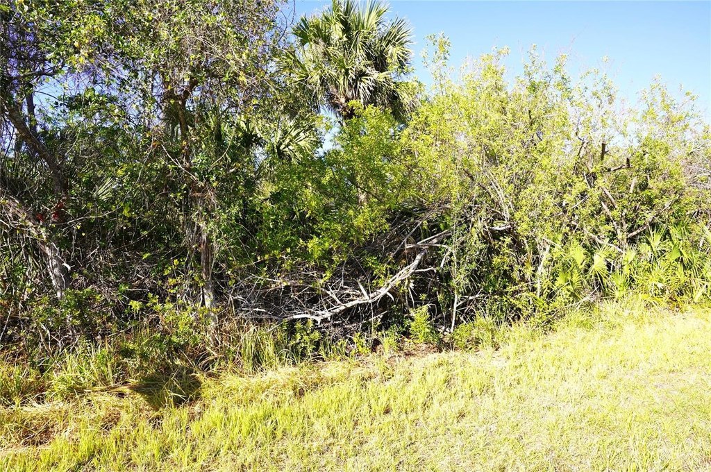 Picture 3