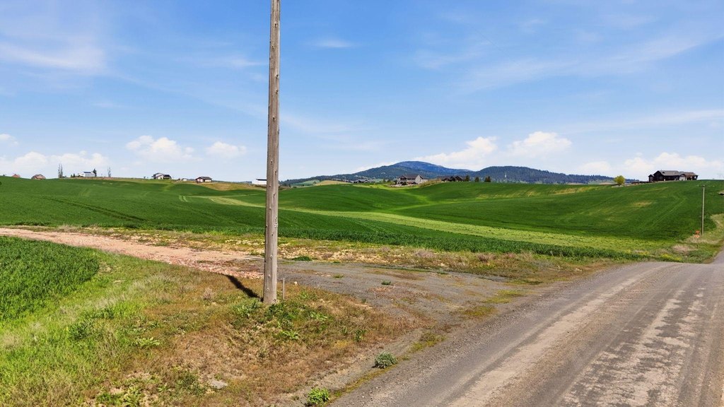 Picture 9
