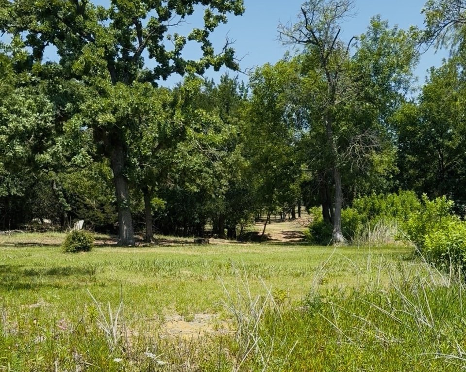Picture 3