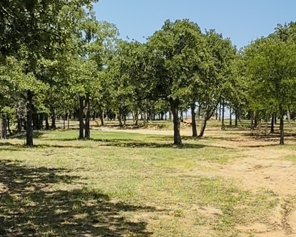 Picture 4