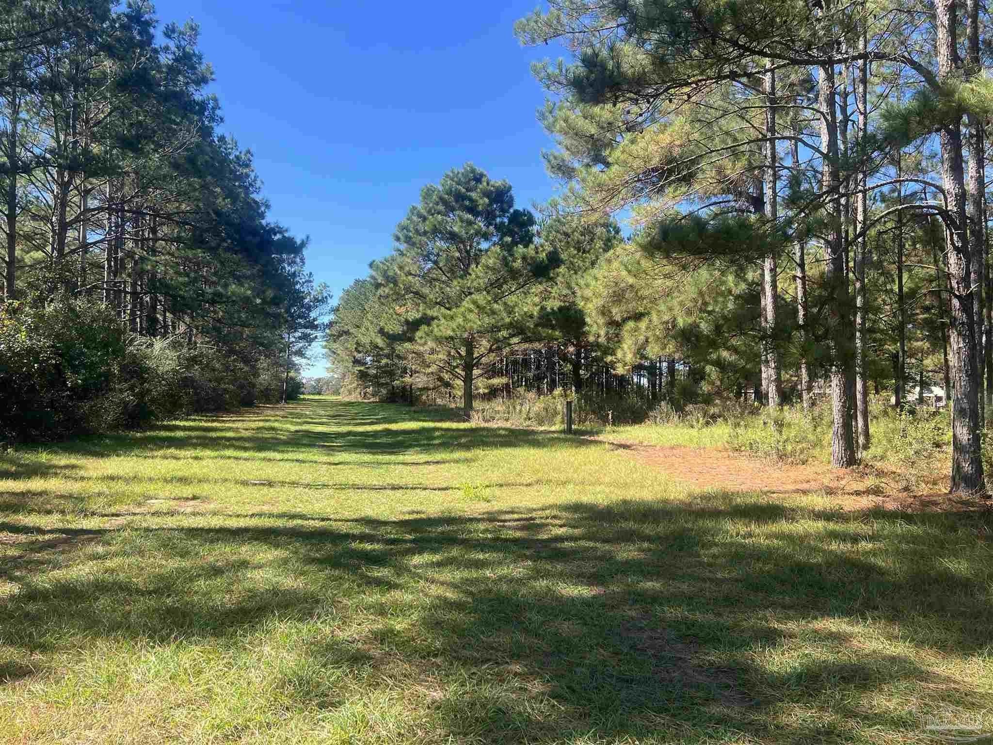 85 Acres of Prime Crop Land