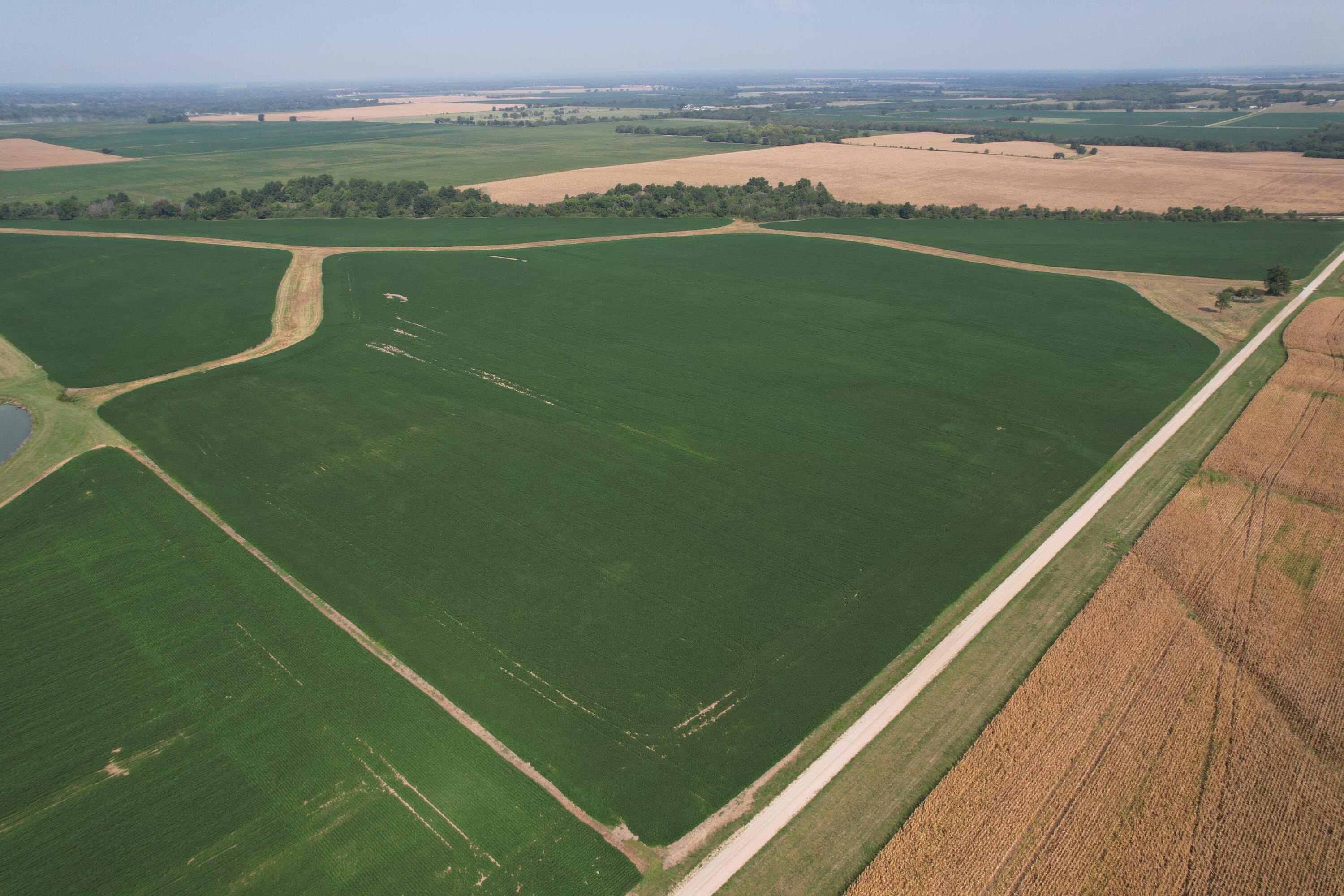 Productive Farmland Near Nevada, Missouri