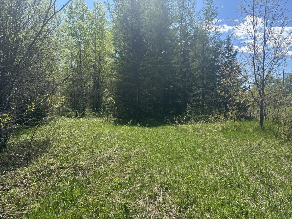 Picture 7