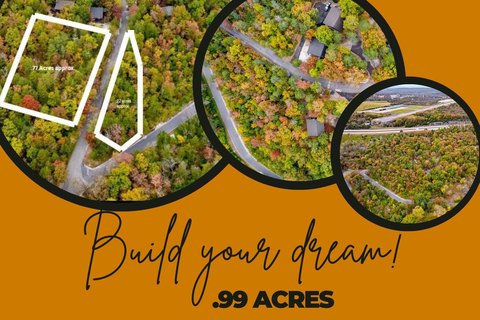 Land, Hollister, MO
