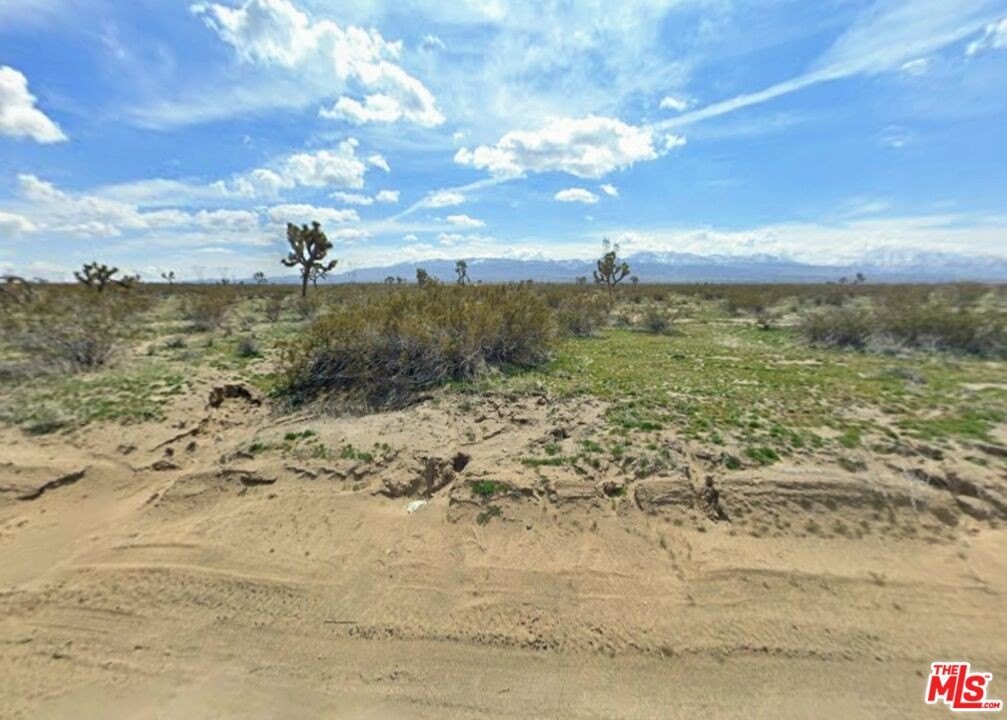 Black Butte Agricultural Land Opportunity