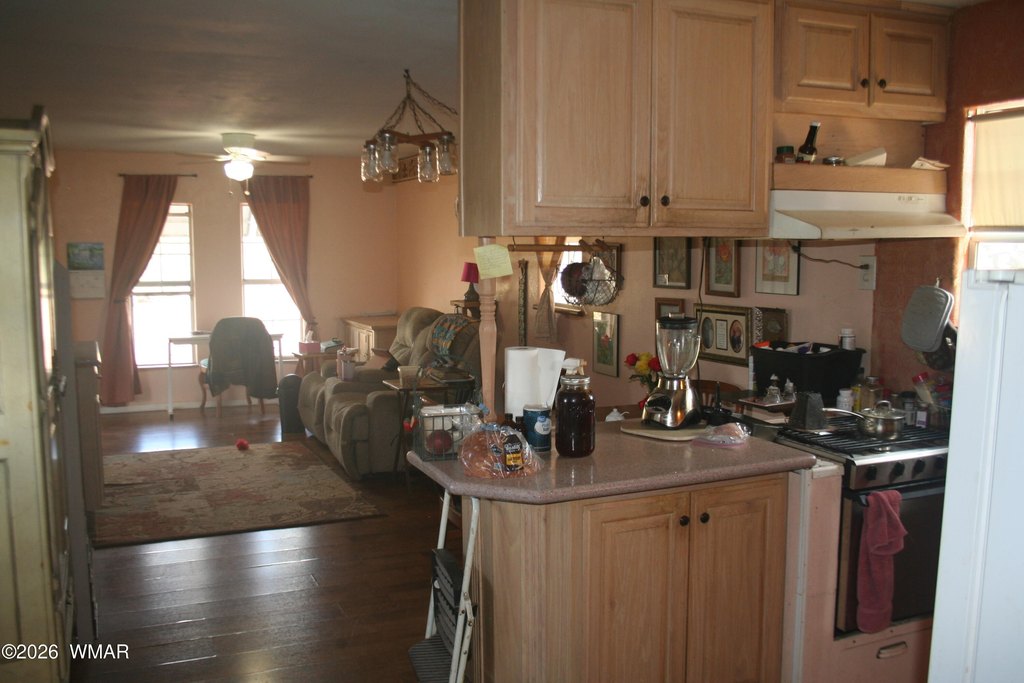 Picture 5
