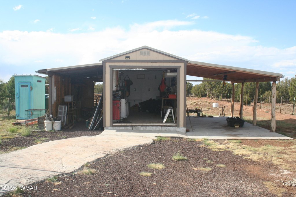 Picture 11