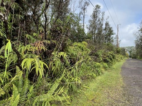 LAND - Kurtistown, HI