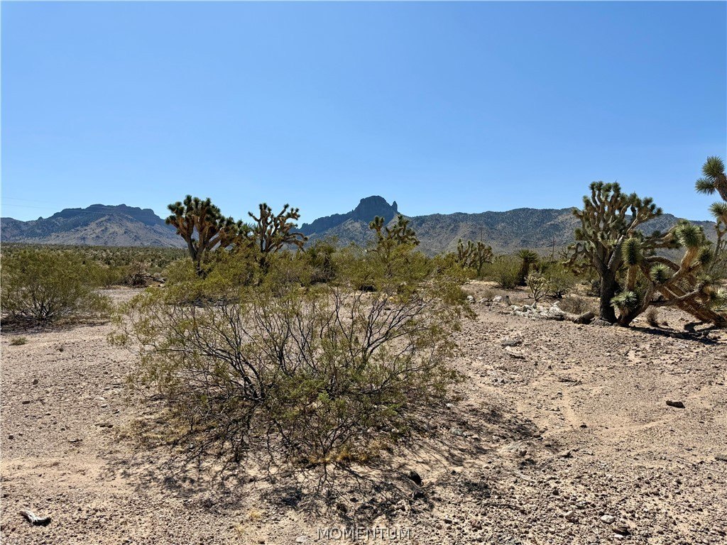 Picture 5