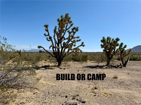 Land, Dolan Springs, AZ