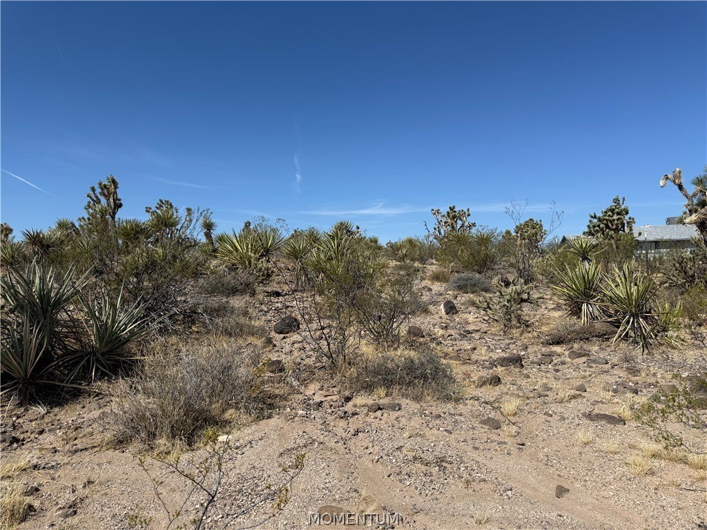Picture 14