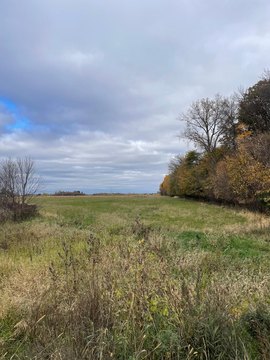 Land, Princeton, MN