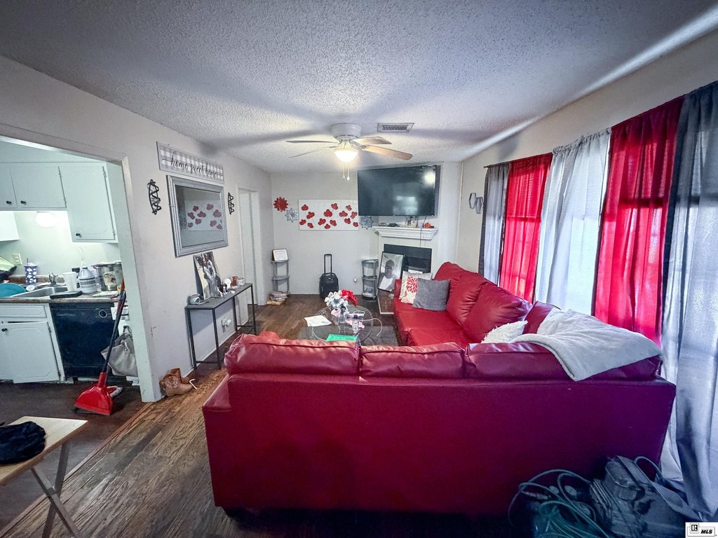 Picture 12
