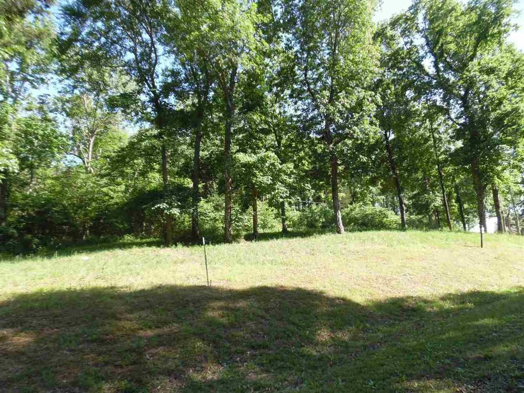 Picture 3