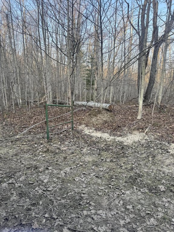 Picture 14