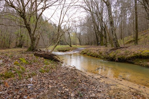 Waterfront Hunting Tract with Creek Frontage