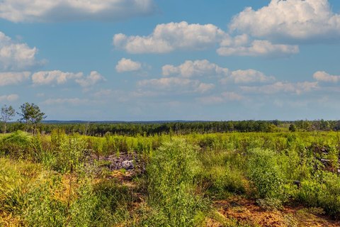 Land, Woodland, GA