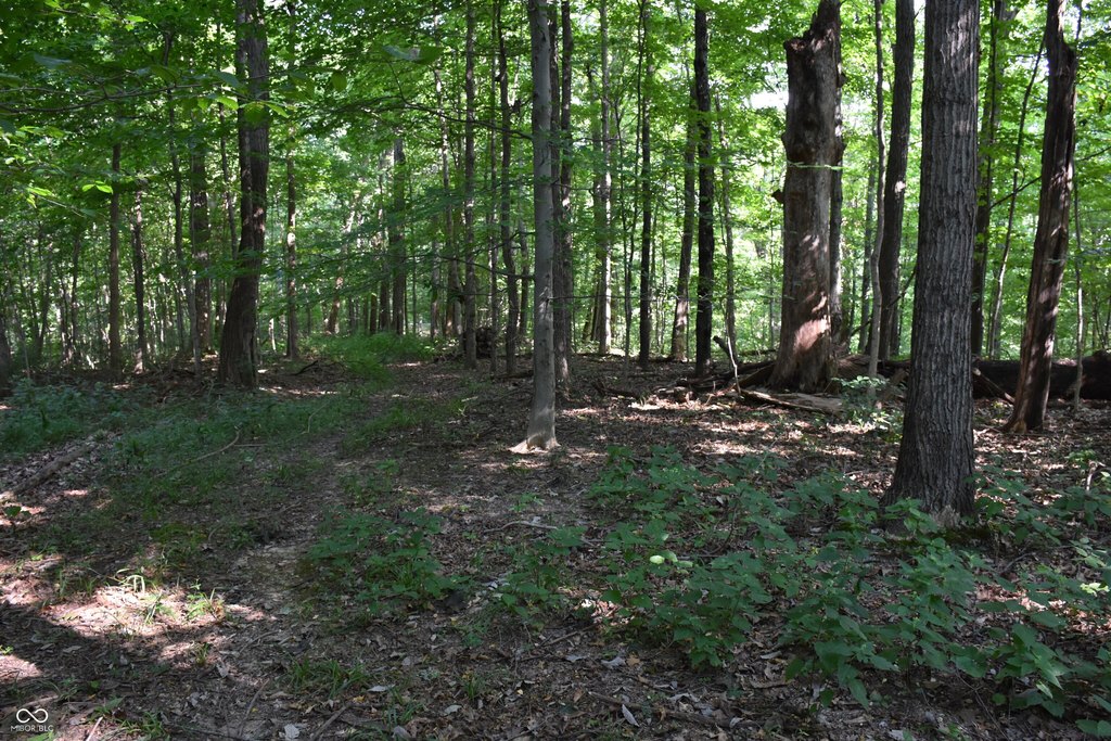 Picture 30
