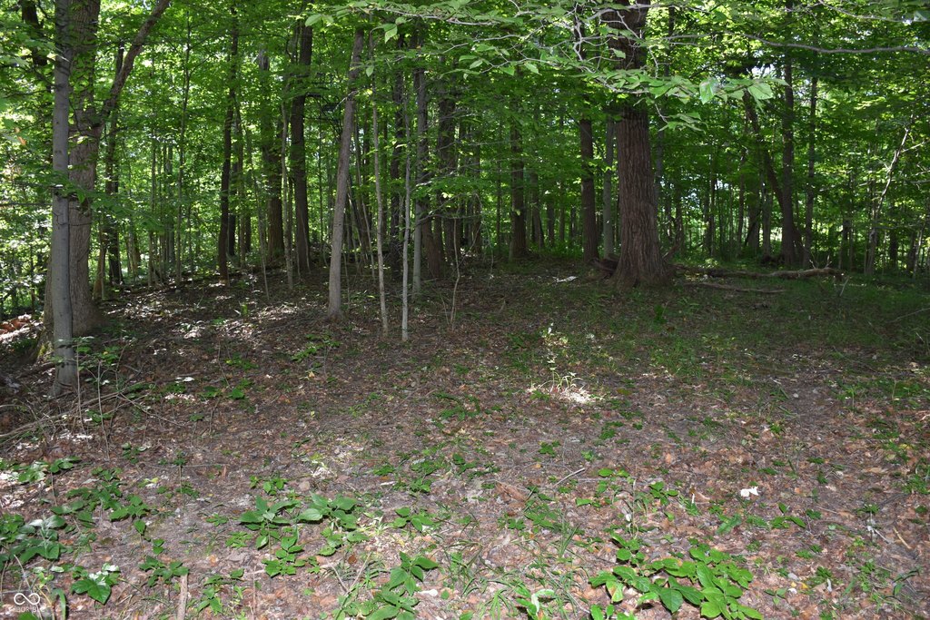 Picture 31